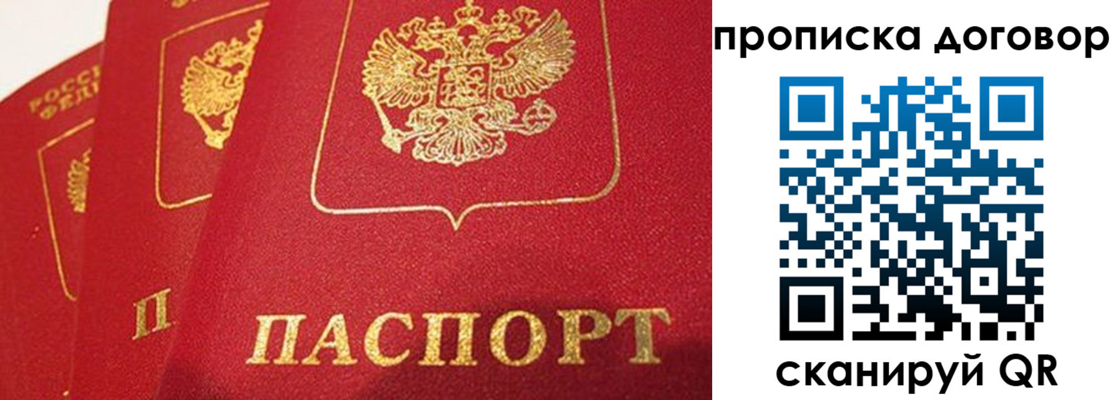 найти адрес прописки в Покрове